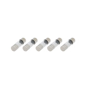 Raptor RAGU60-5, (5)Fuses AGU 60 Amp