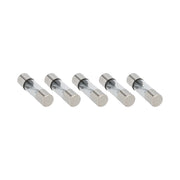 Raptor RAGU80-5, (5)Fuses AGU 80 Amp