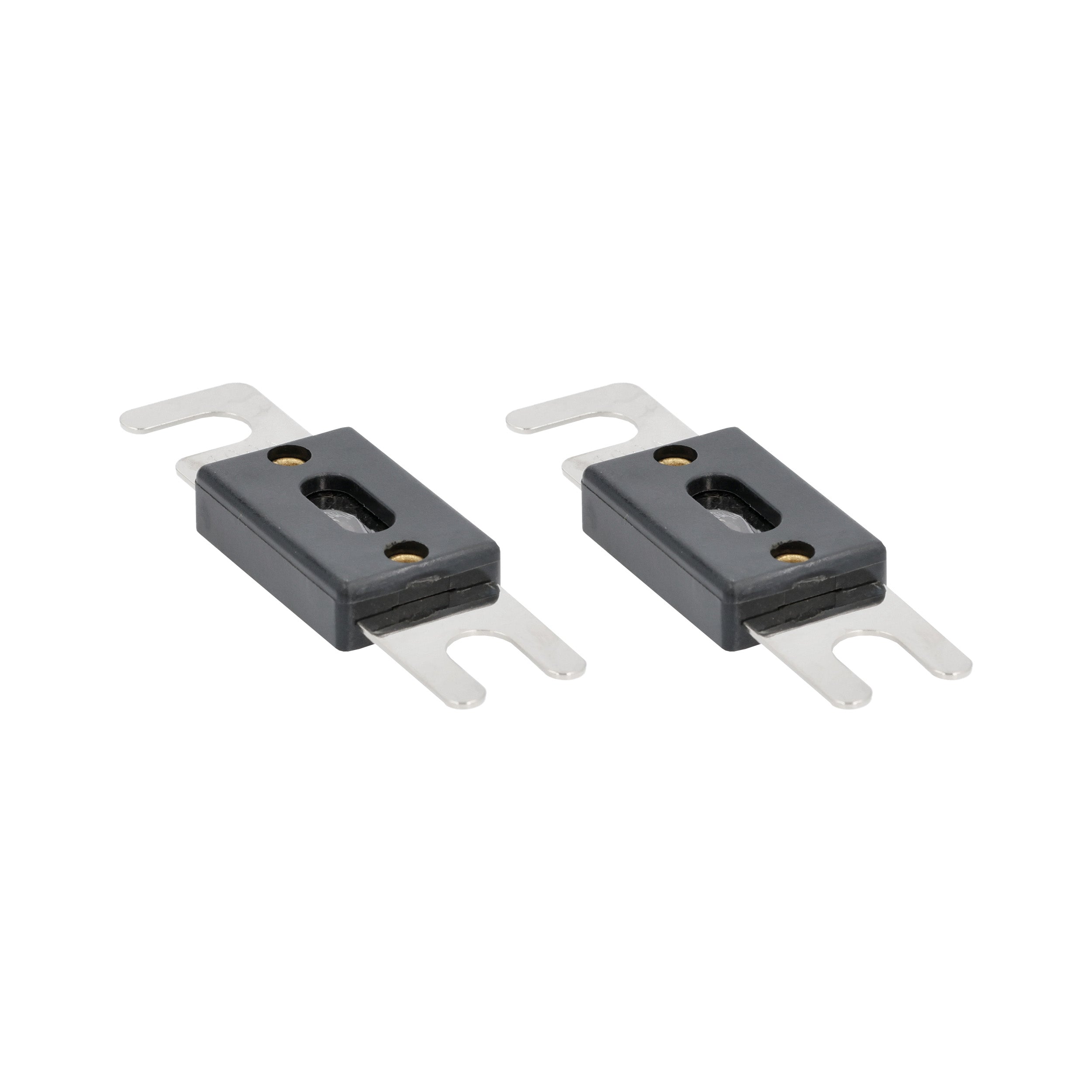 Raptor RANL100, (2)Fuses ANL 100 Amp