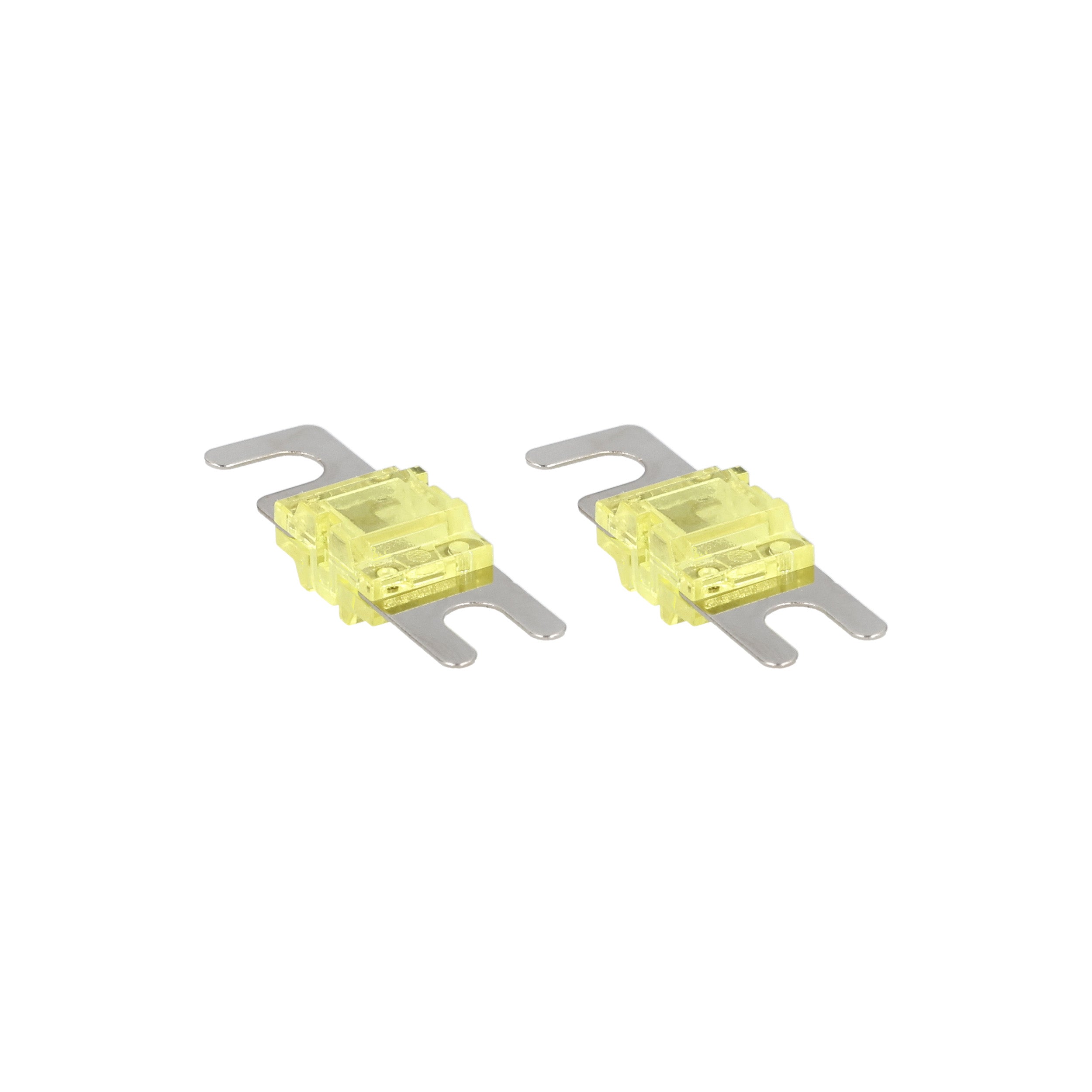 Raptor RMANL100, (2)Fuses MANL 100 Amp
