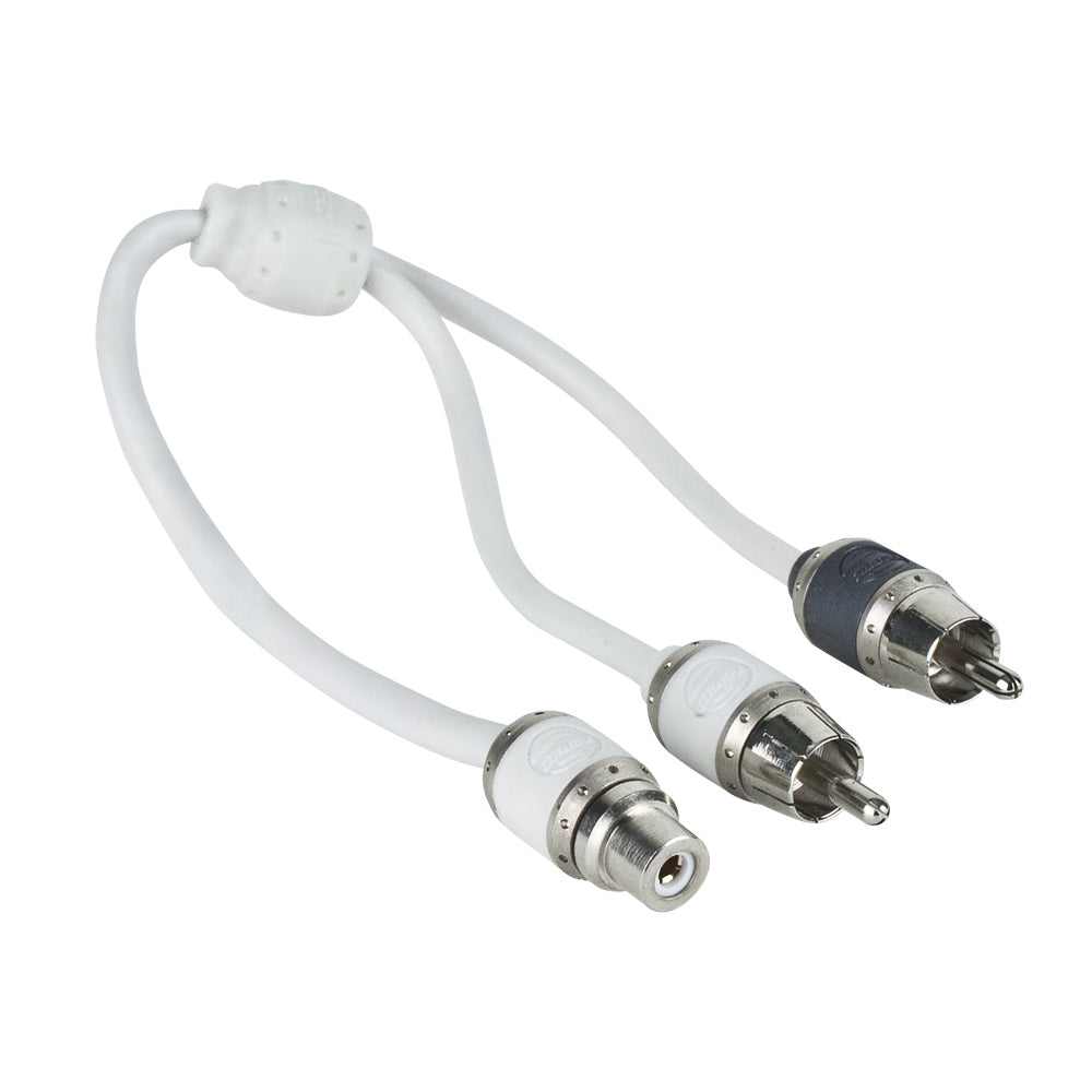 T-Spec V10RY1, RCA Y 1F/2M