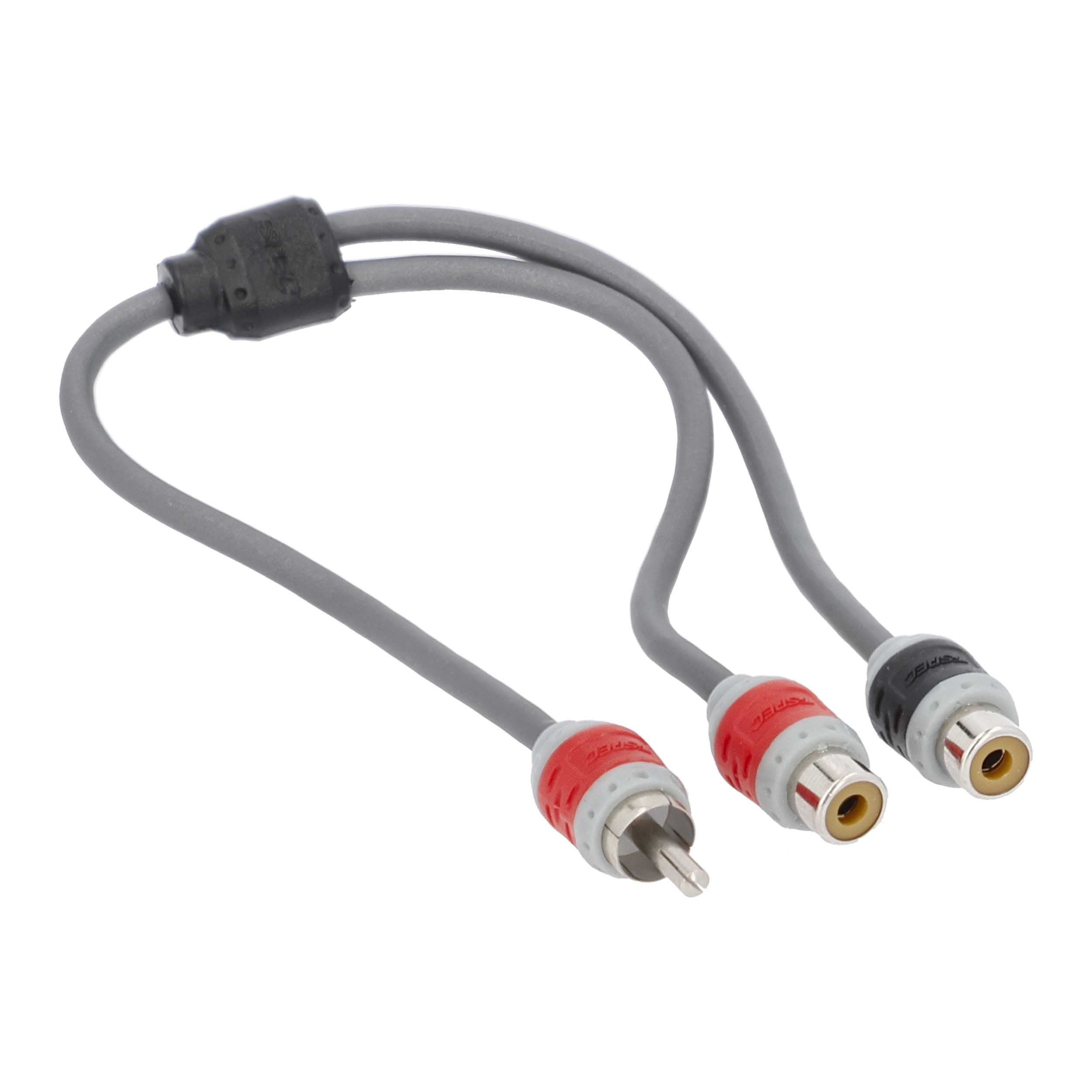 T-Spec V8RY2, RCA Y 1M/2F