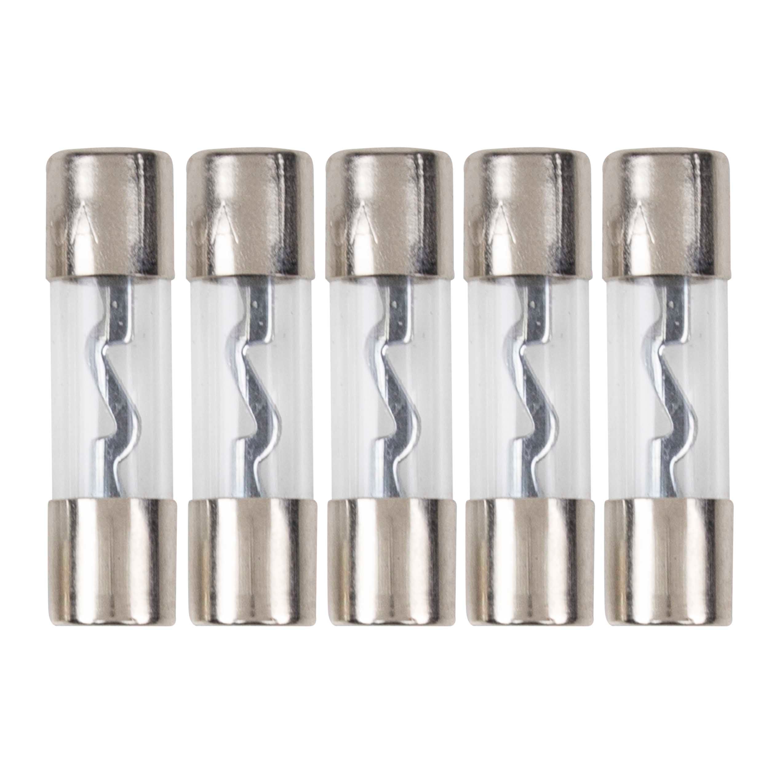 Raptor RAGU40-5, (5)Fuses AGU 40 Amp