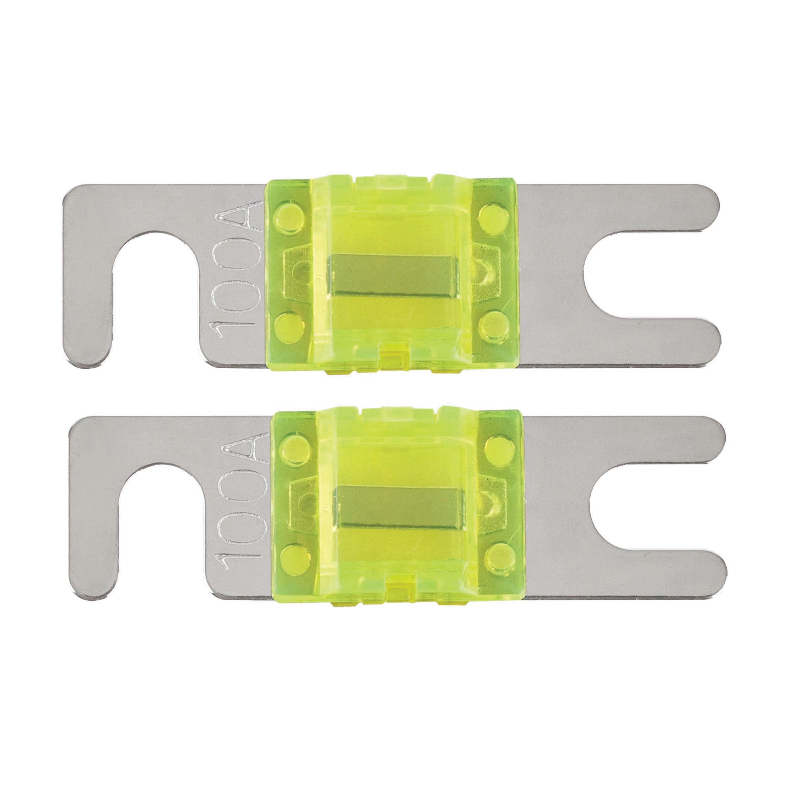 Raptor RMANL100, (2)Fuses MANL 100 Amp