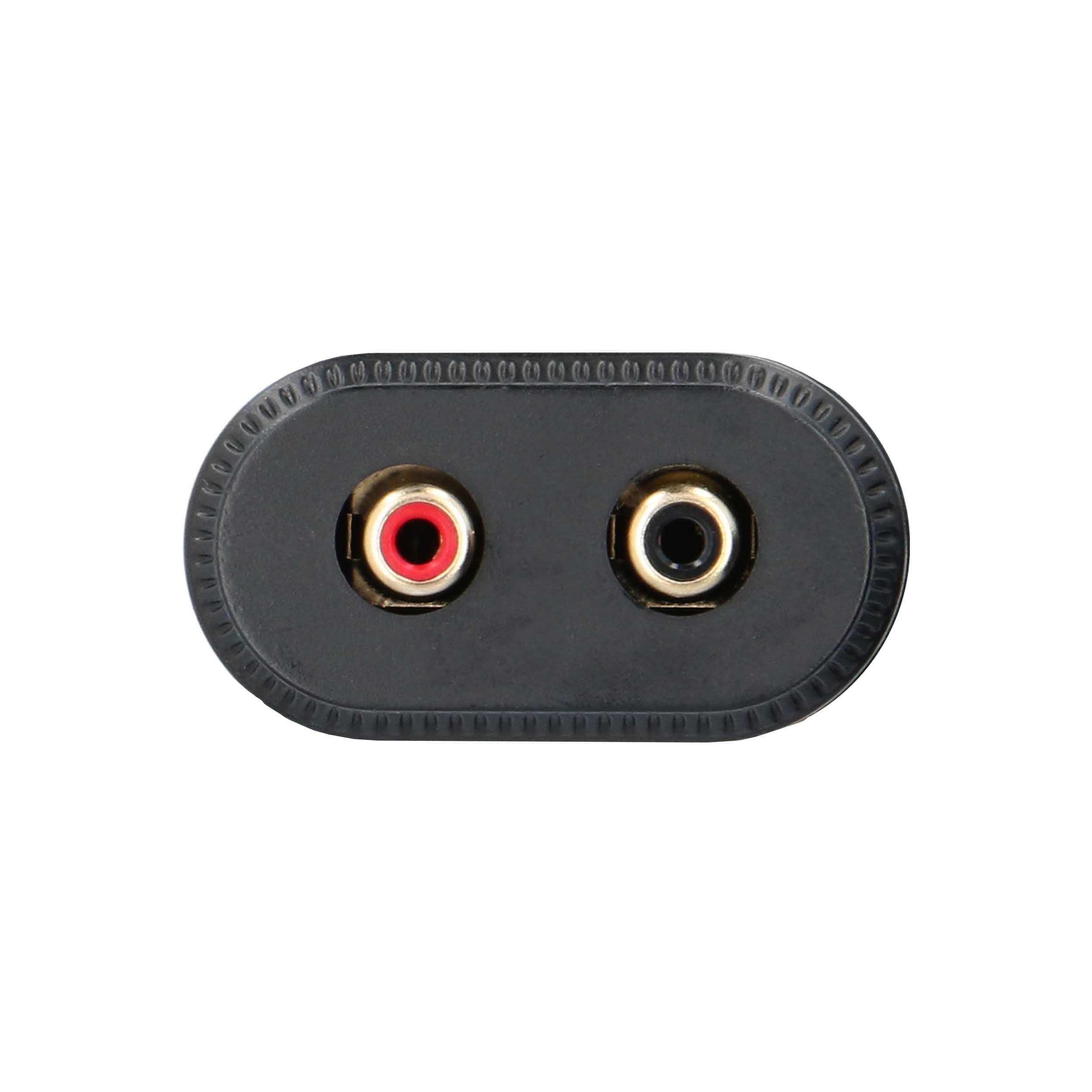 Raptor RLOC60, Line Output Converter 2ch