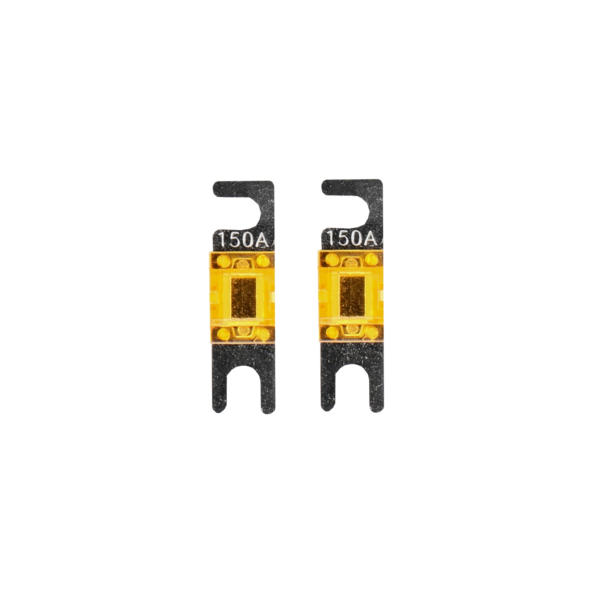 Raptor RMANL150, (2)Fuses MANL 150 Amp