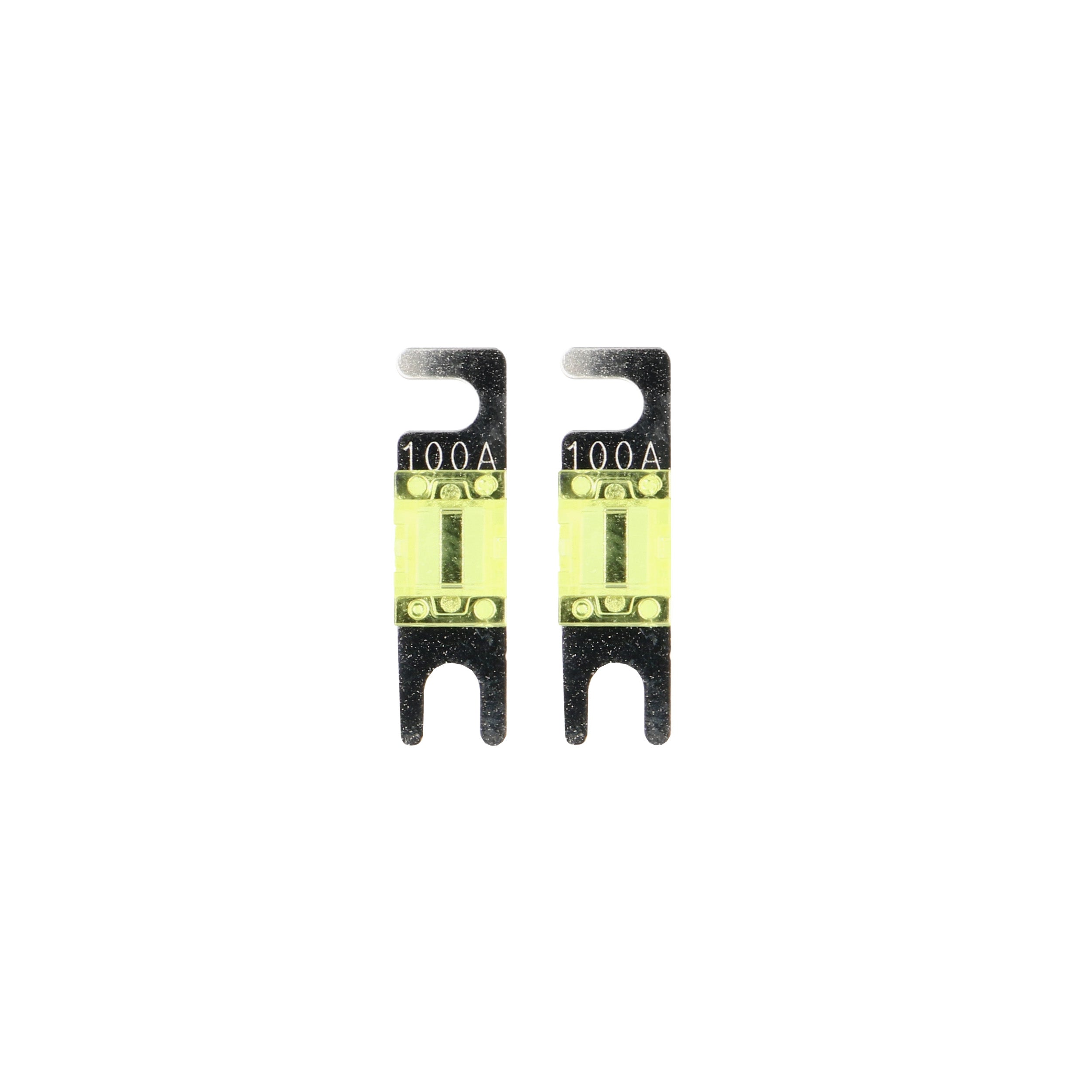 Raptor RMANL100, (2)Fuses MANL 100 Amp