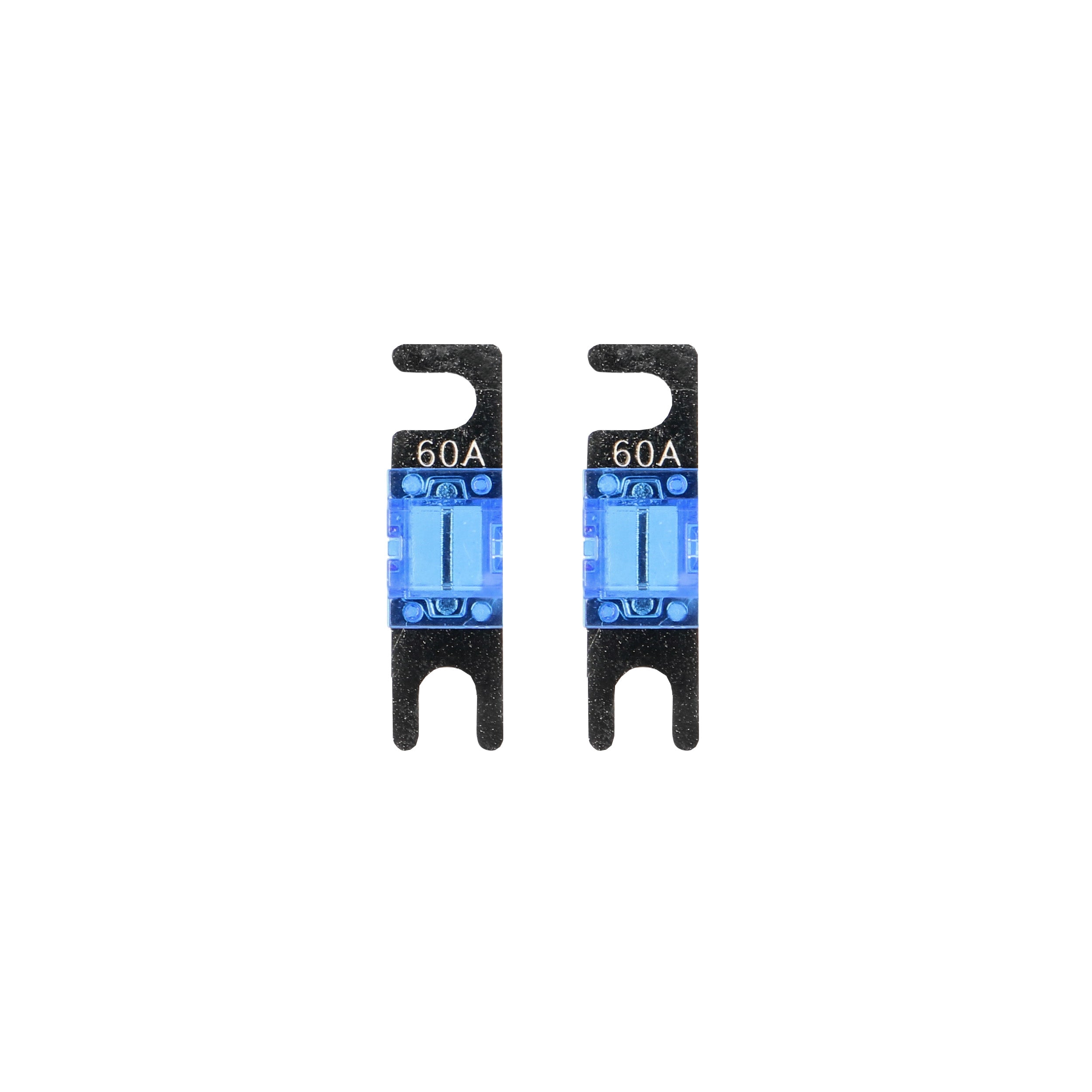 Raptor RMANL60, (2)Fuses MANL 60 Amp
