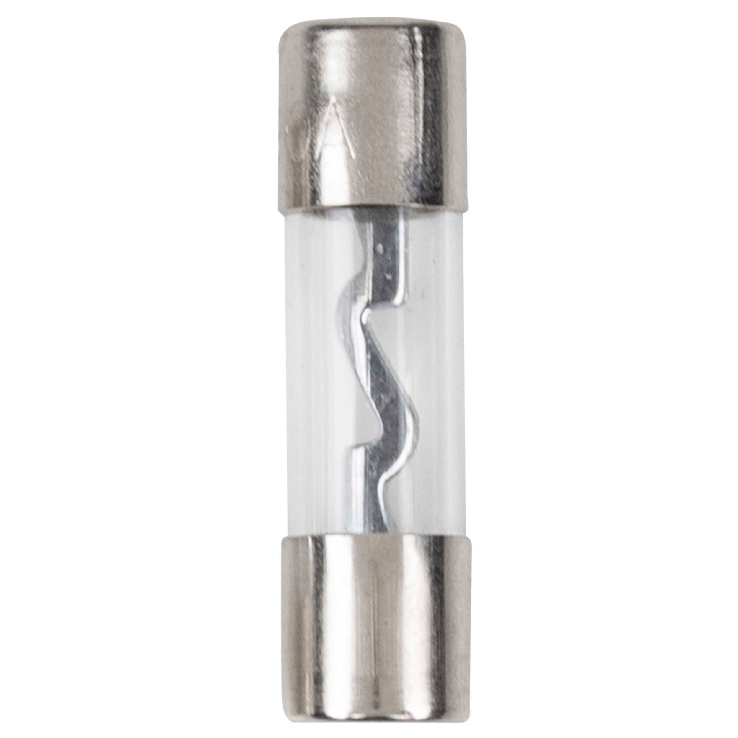 Raptor RAGU40-5, (5)Fuses AGU 40 Amp