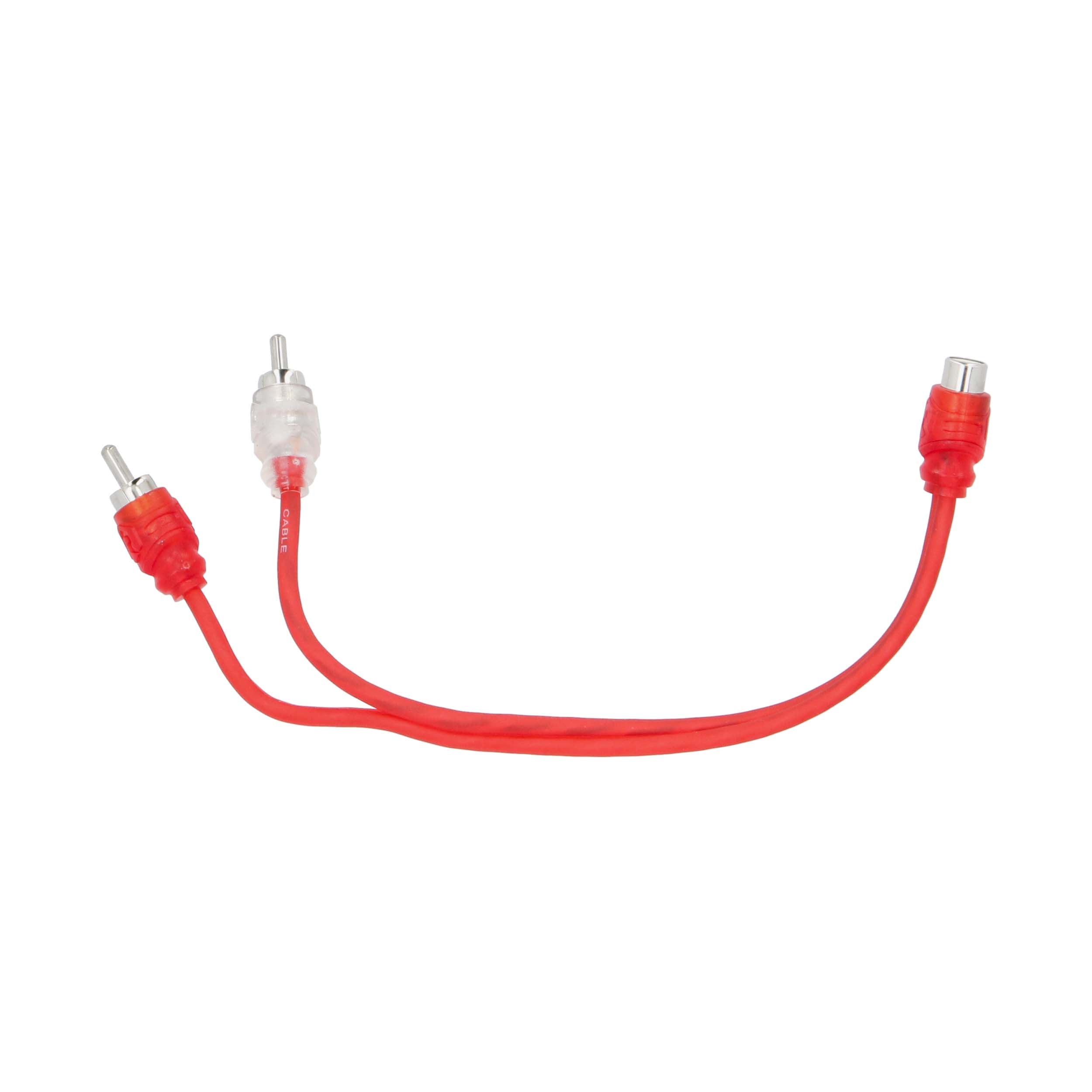 Raptor R3Y1, RCA Y 1F/2M