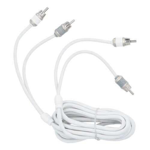 T-Spec V10R10, RCA 2ch 10'