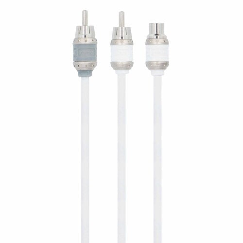 T-Spec V10RY1, RCA Y 1F/2M