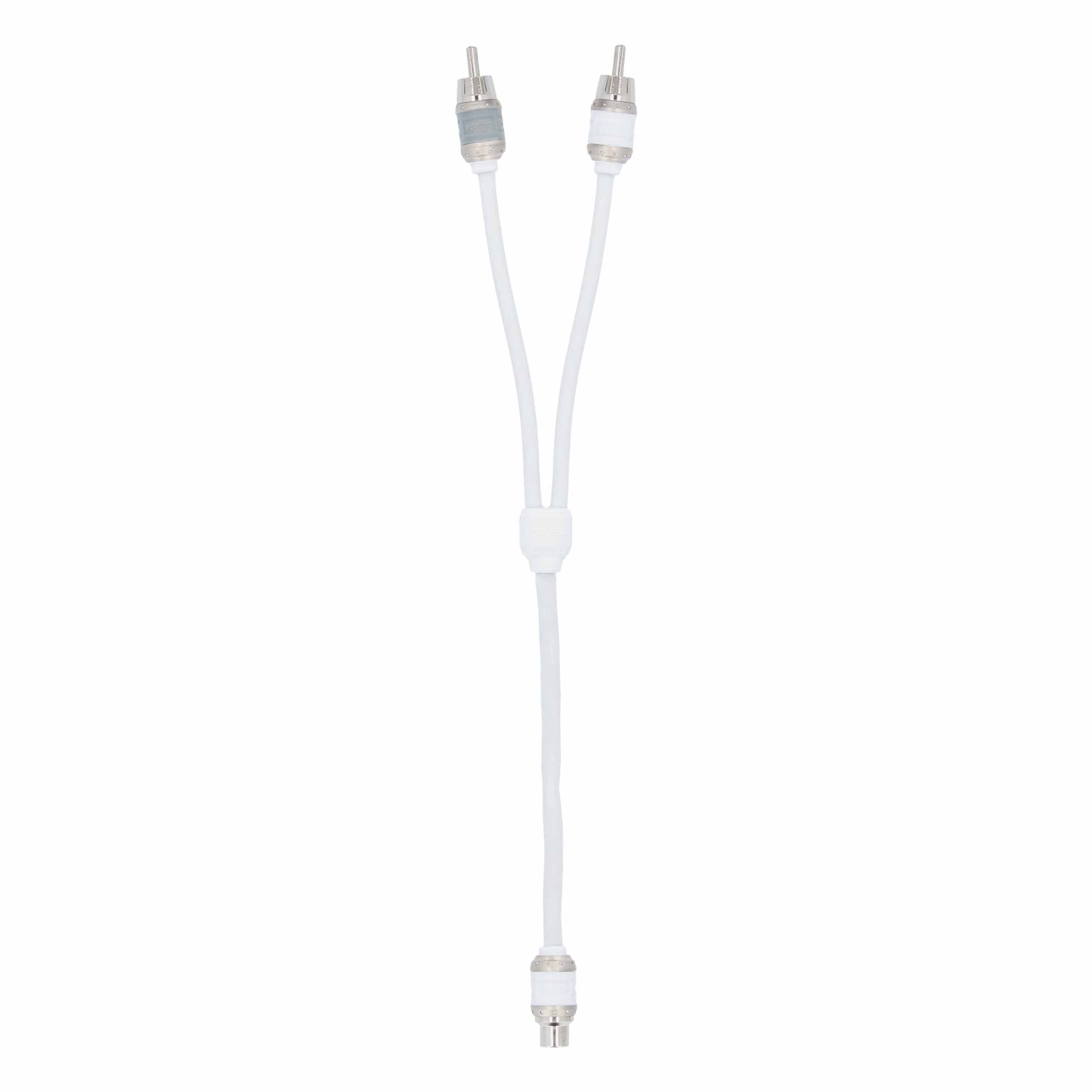 T-Spec V10RY1, RCA Y 1F/2M