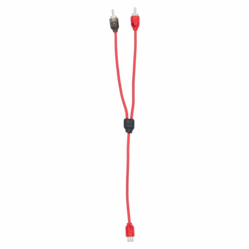 T-Spec V6RY1, RCA Y 1F/2M