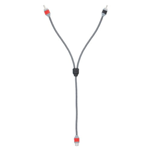 T-Spec V8RY1, RCA Y 1F/2M
