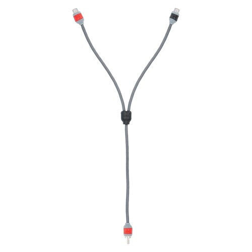 T-Spec V8RY2, RCA Y 1M/2F