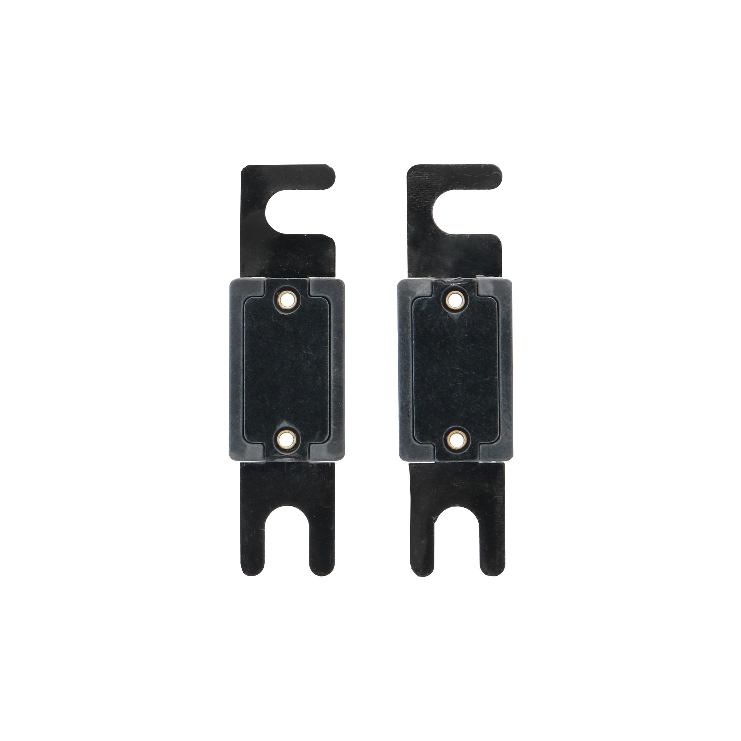 Raptor RANL200, (2)Fuses ANL 200 Amp