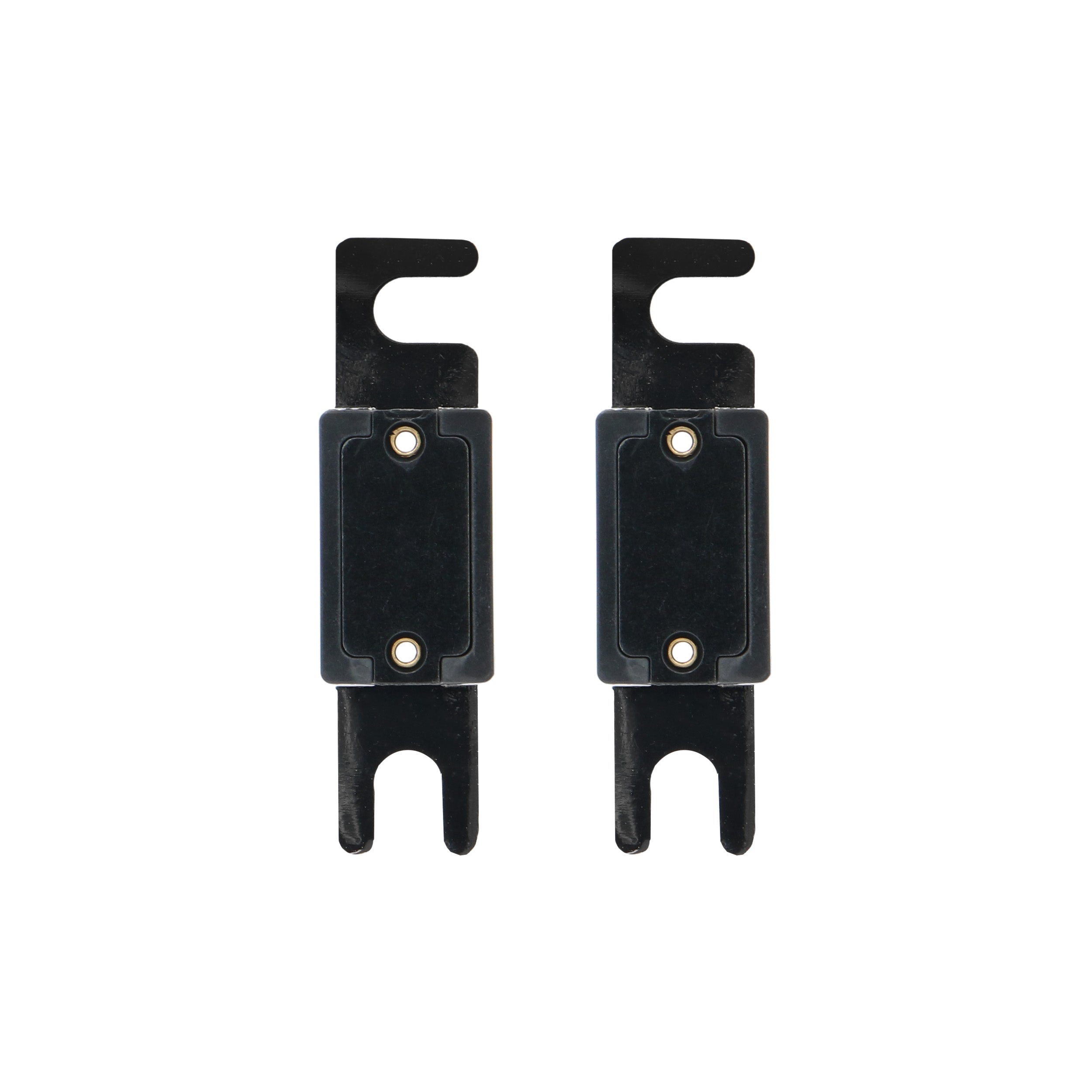 Raptor RANL100, (2)Fuses ANL 100 Amp