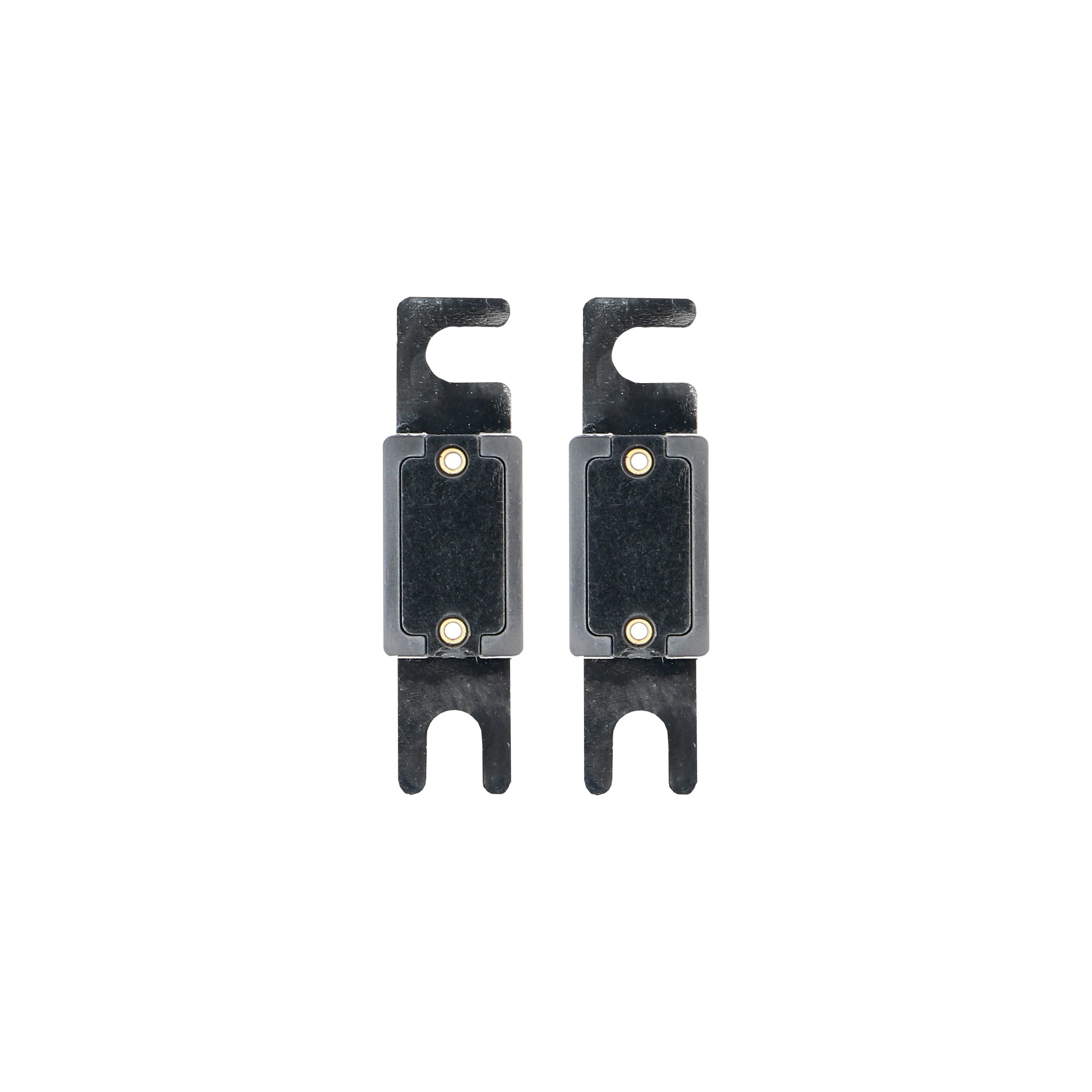 Raptor RANL250, (2)Fuses ANL 250 Amp