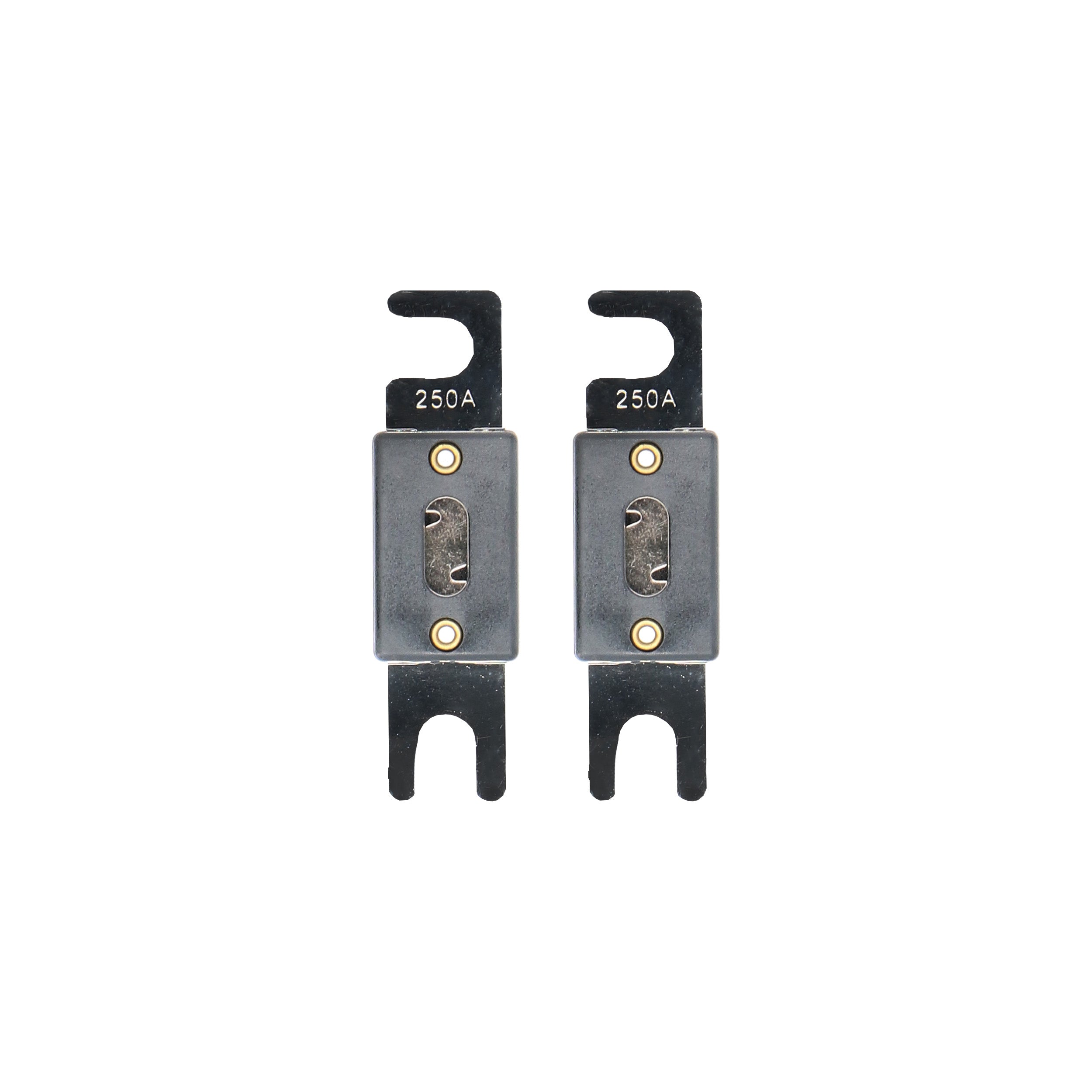 Raptor RANL250, (2)Fuses ANL 250 Amp