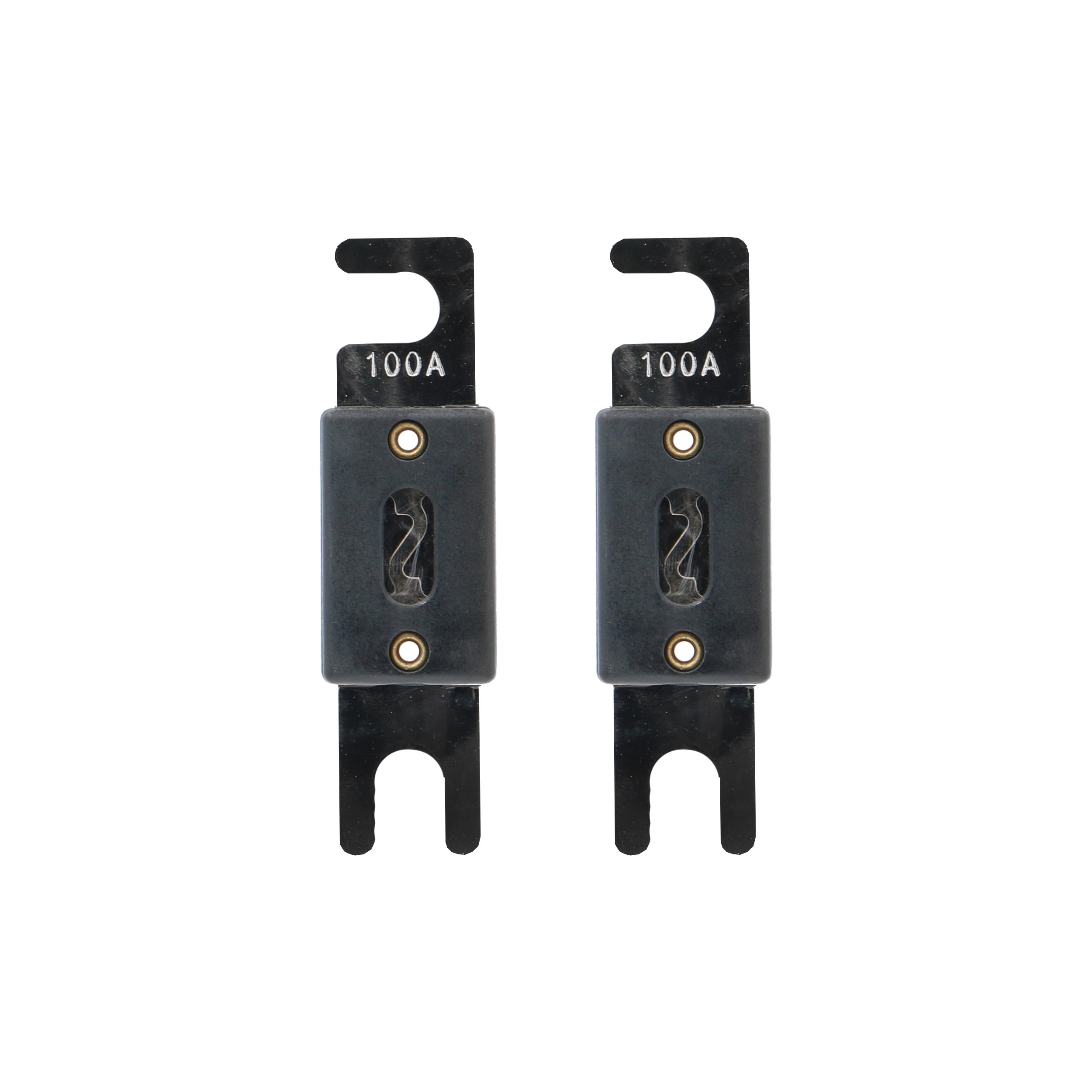 Raptor RANL100, (2)Fuses ANL 100 Amp