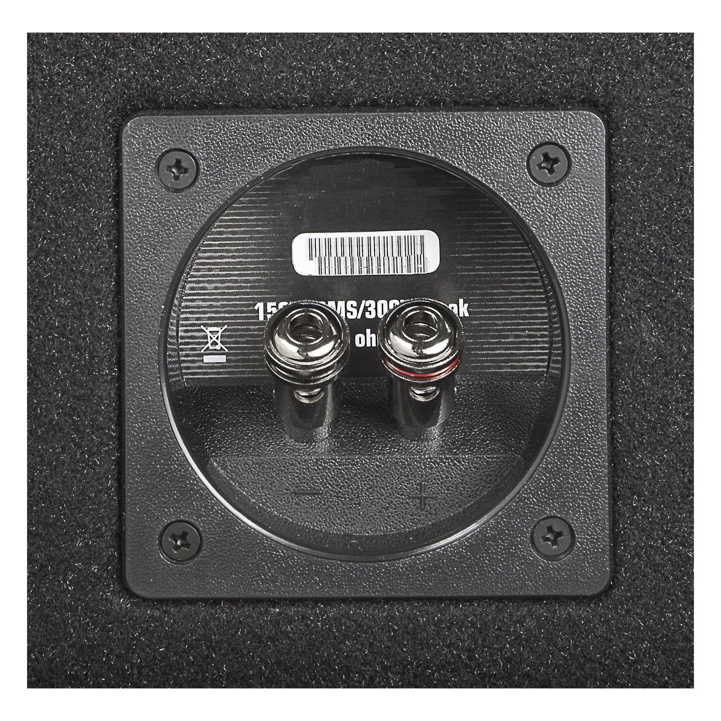 Rockford Fosgate P1-1X10, Punch 10" Ported Loaded Enclosure, 250 Watts RMS